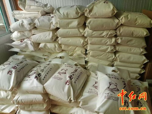满载辉煌辞旧岁锣鼓喧天迎新春 唐山龙凤产业文化中心董事长张国强春节回乡拜见慰问高龄老人