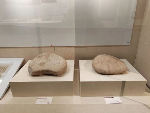 共情 共鸣 武威市博物馆藏民族文献展在邯郸开展凤凰网甘肃 凤凰网